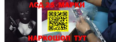 СК Кингисепп