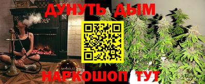 СК Кингисепп