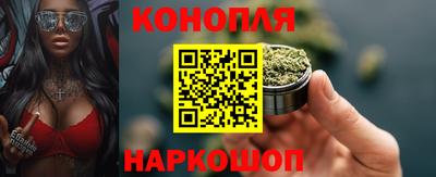 СК Кингисепп