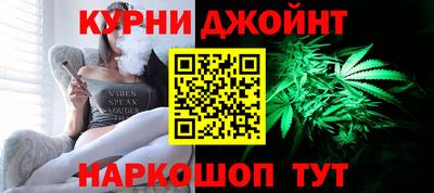 СК Кингисепп
