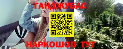 СК Кингисепп