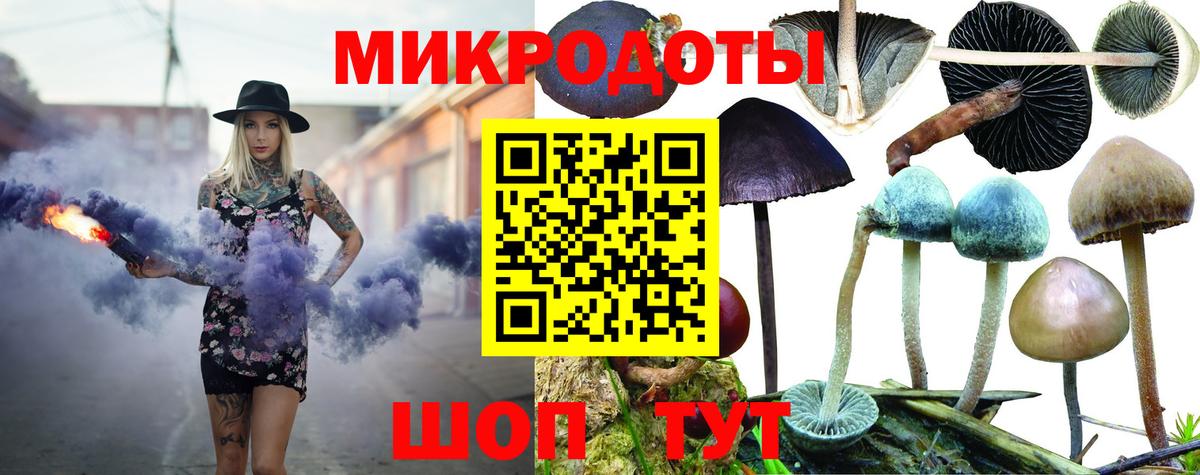 Псилоцибиновые грибы ЛСД Коммунар