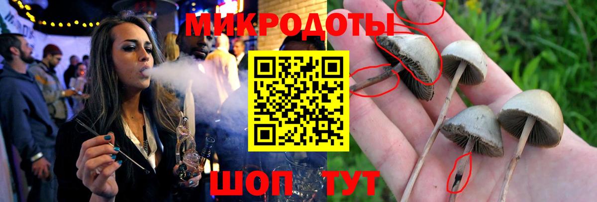 Псилоцибиновые грибы Psilocybe  Псилоцибиновые грибы мицелий  как найти закладки  Коммунар  Вход с VPN 